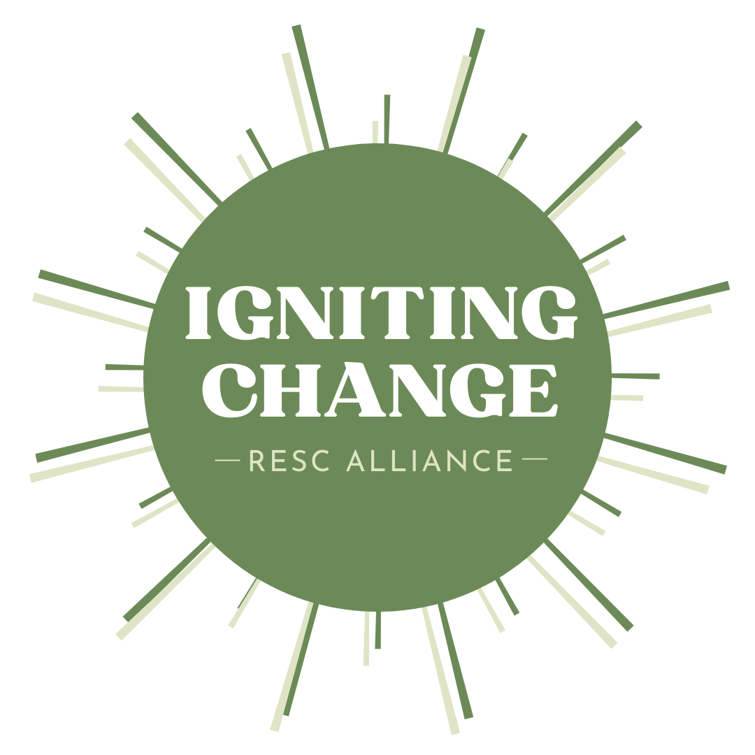 Igniting Change Logo